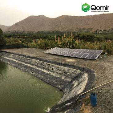 126401885_1074450466334140_75767089993784937_n