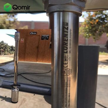 241226827_1282955282150323_862548564238479890_n