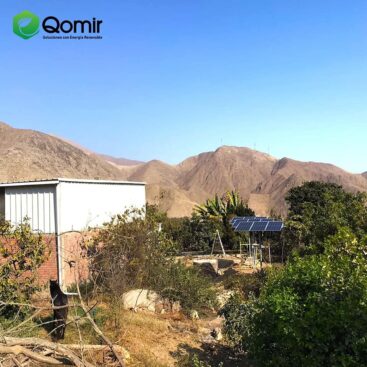 241479282_1282955208816997_9103156634593420735_n