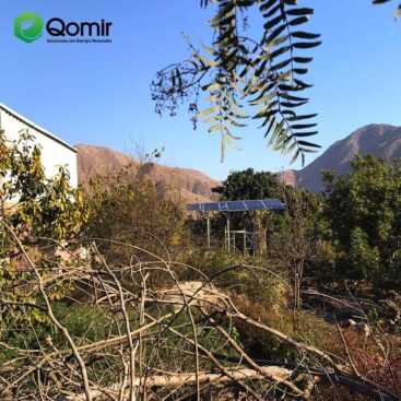 241538943_1282955322150319_6782034548813133937_n