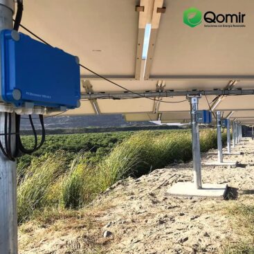 242907012_1269646223481229_2550123726135293906_n