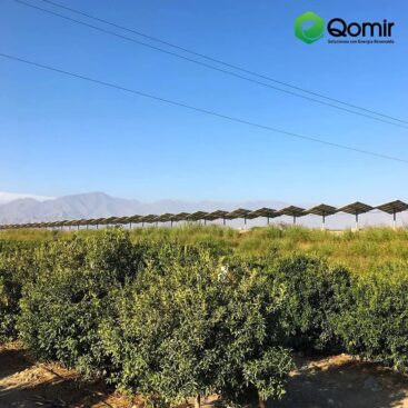 242938995_1269646170147901_8078245141001826395_n