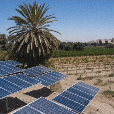 69732684_726189811160209_794668872174141440_n