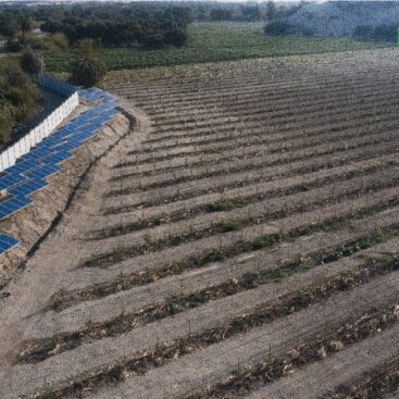 69951479_726189744493549_1958322787089121280_n