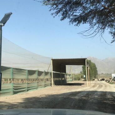 Pbox 15w led - fundo ica día